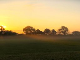 Sonnenaufgang Fetenkoppel